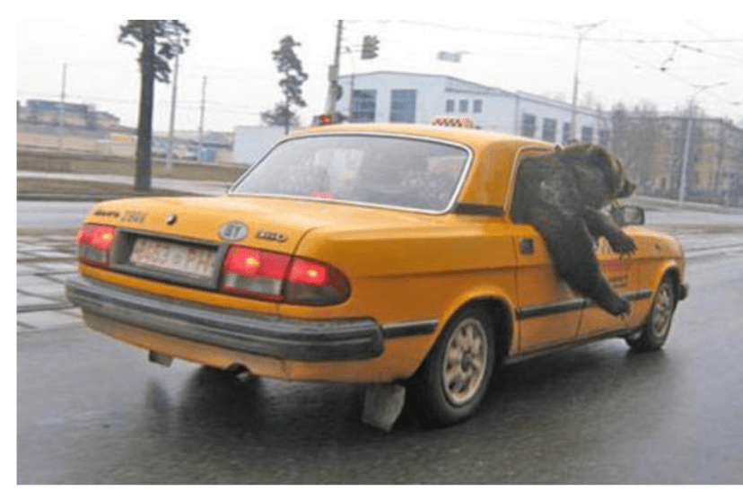 Screenshot 2023-06-08 alle 11.55.10